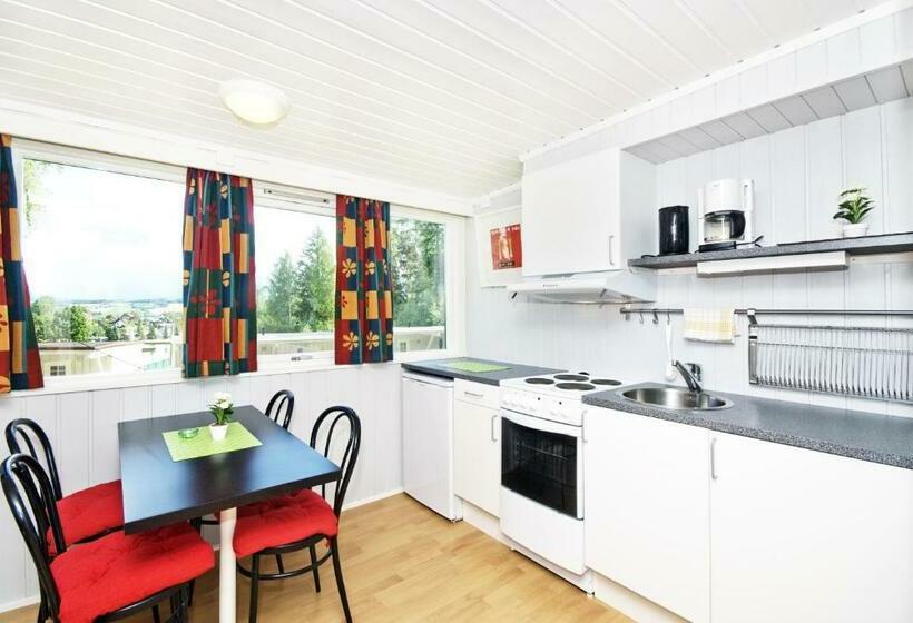 Апартаменты 1 Спальня, Gjøvik Hovdetun Hostel