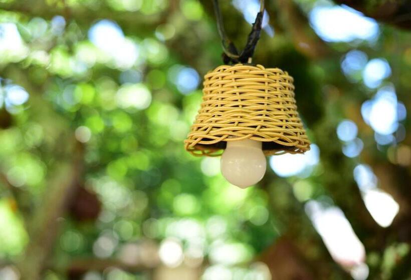 스탠다드 싱글 룸, Pedra Da Concha