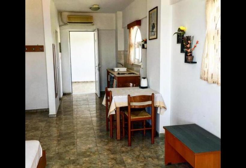 スタンダードスタジオ, Paradise Studios