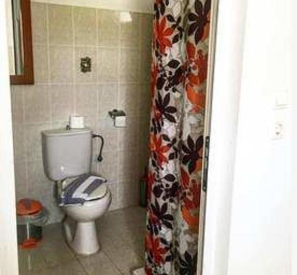 スタンダードスタジオ, Paradise Studios