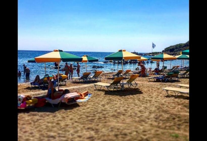 スタンダードスタジオ, Paradise Studios