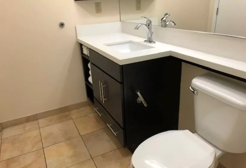 スイート, Candlewood Suites Fort Wayne   Nw, An Ihg