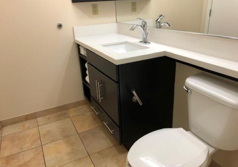 استودیوی استاندارد, Candlewood Suites Fort Wayne   Nw, An Ihg