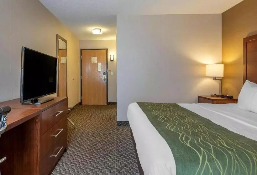 キングサイズベッドのスタンダードルーム, Comfort Inn Charlotte