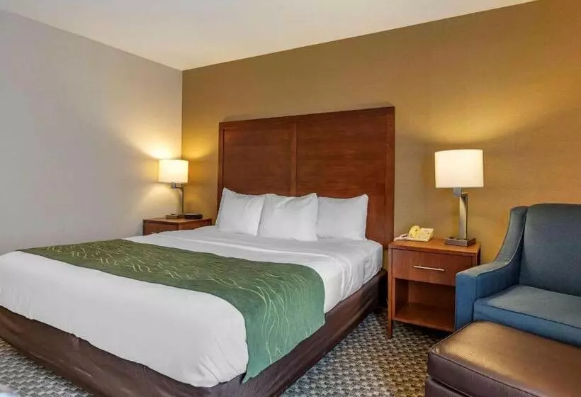 キングサイズベッドのスタンダードルーム, Comfort Inn Charlotte