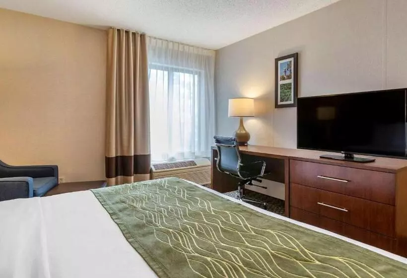 キングサイズベッドのスタンダードルーム, Comfort Inn Charlotte