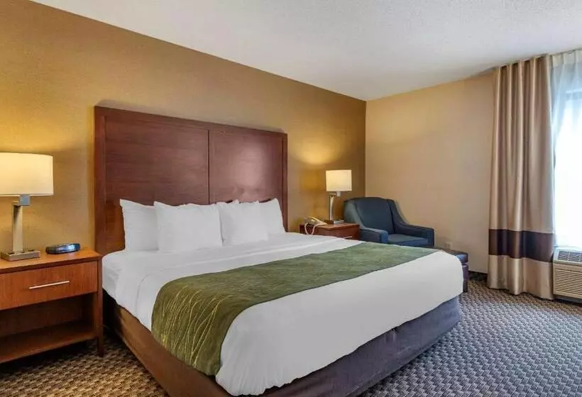 キングサイズベッドのスタンダードルーム, Comfort Inn Charlotte