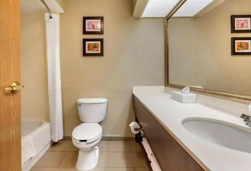 スタンダードルーム, Comfort Inn Charlotte