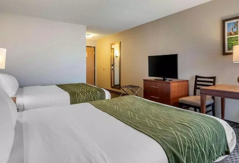 スタンダードルーム, Comfort Inn Charlotte