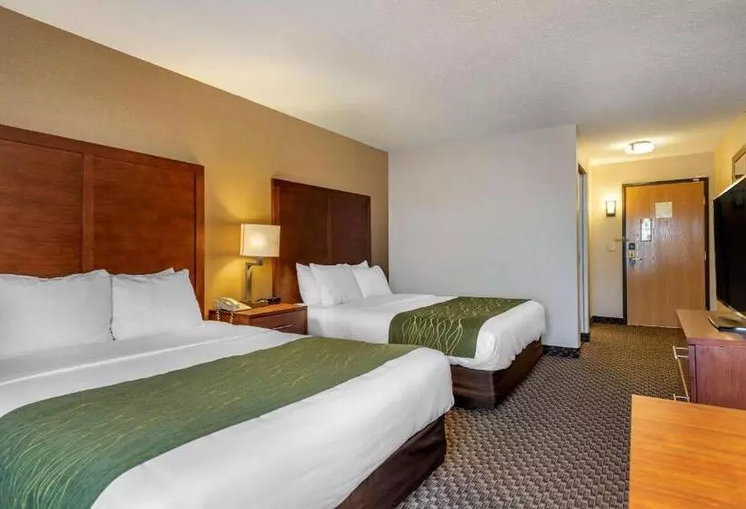 スタンダードルーム, Comfort Inn Charlotte