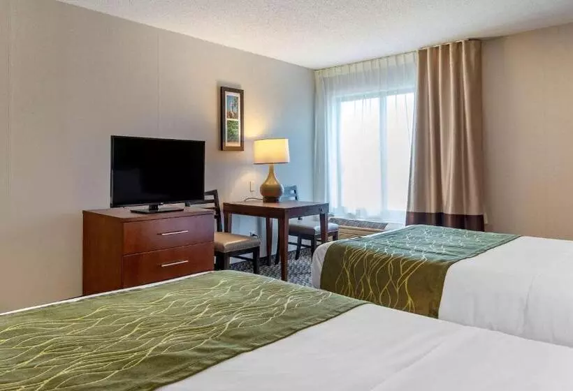 スタンダードルーム, Comfort Inn Charlotte
