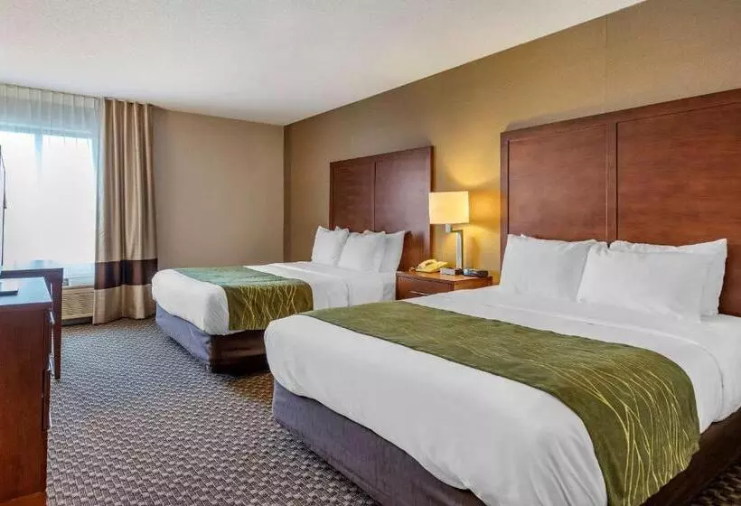 スタンダードルーム, Comfort Inn Charlotte