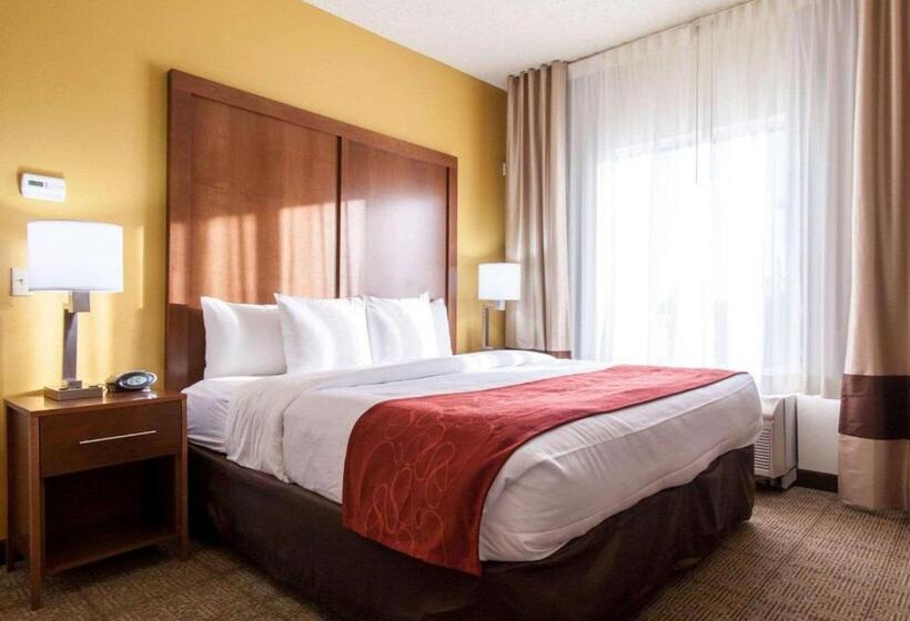 Люкс Кровать Кинг, Comfort Suites Central I 44