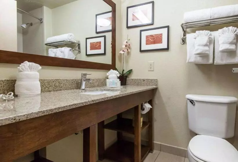 Sviitti King-vuode, Comfort Suites Central I 44