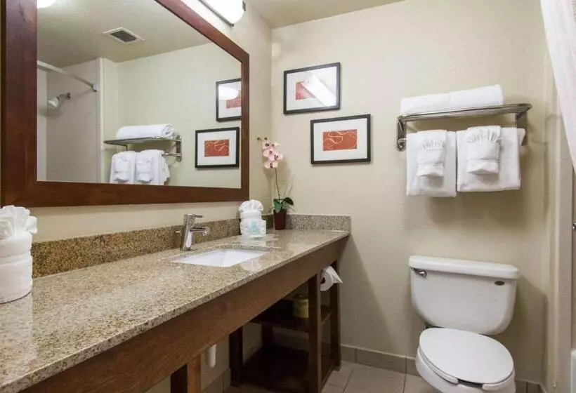 Sviitti King-vuode, Comfort Suites Central I 44