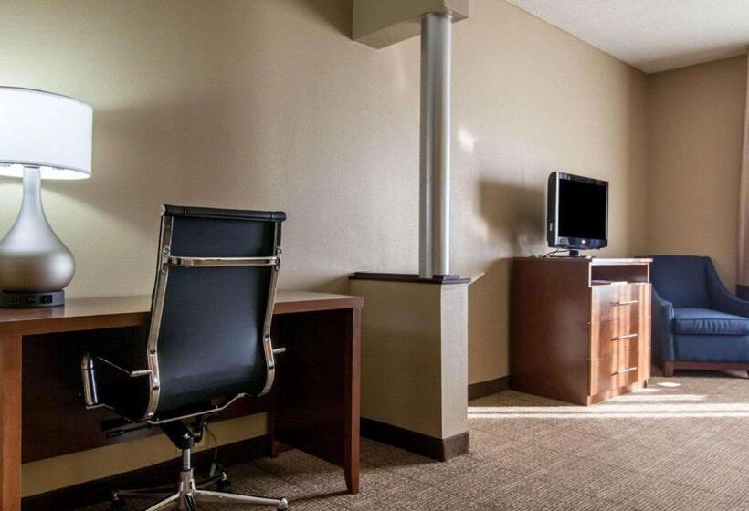 جناح سرير كينج, Comfort Suites Central I 44