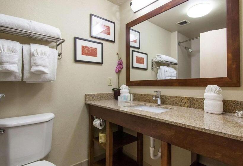 جناح سرير كينج, Comfort Suites Central I 44