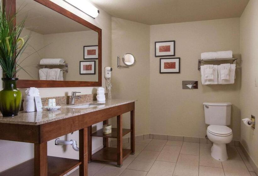 Люкс Кровать Кинг, Comfort Suites Central I 44