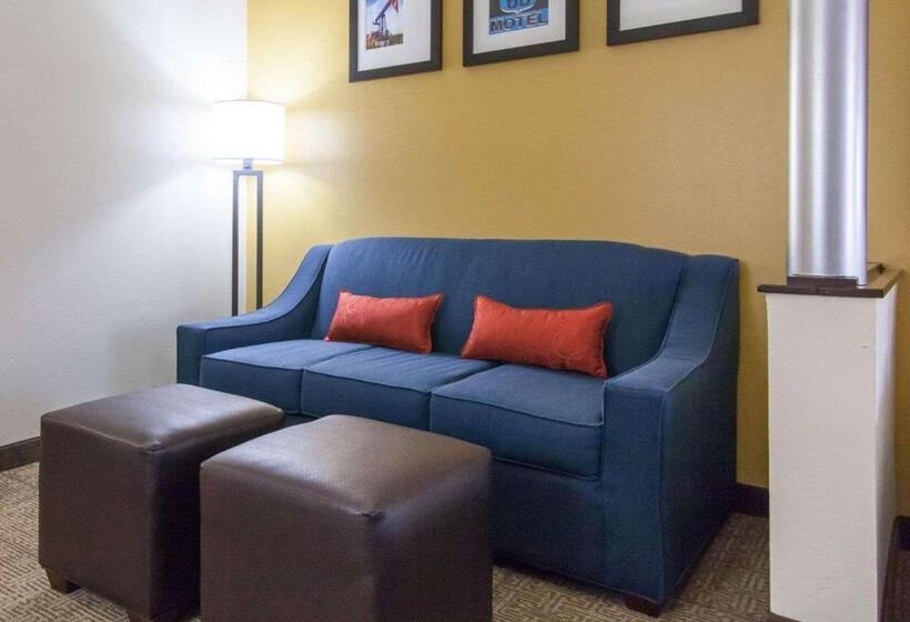 جناح لذوى الاحتياجات الخاصة, Comfort Suites Central I 44