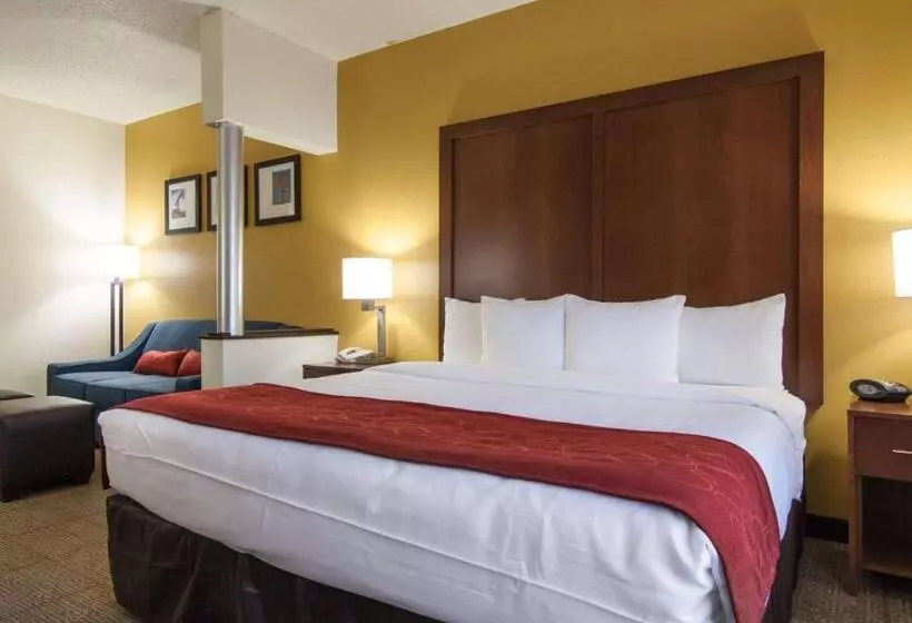 Sviitti Liikuntarajoitteisille, Comfort Suites Central I 44