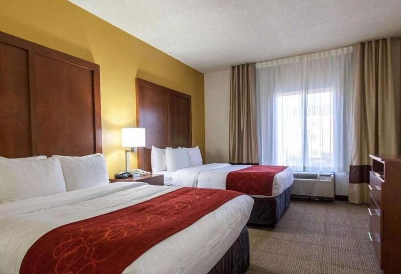 جناح لذوى الاحتياجات الخاصة, Comfort Suites Central I 44