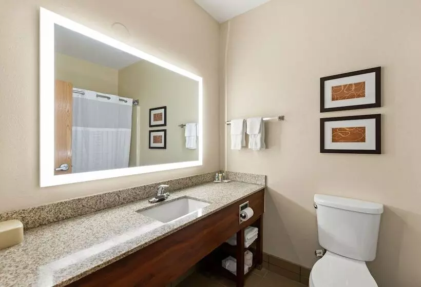 スイート, Comfort Suites Kansas Cityliberty