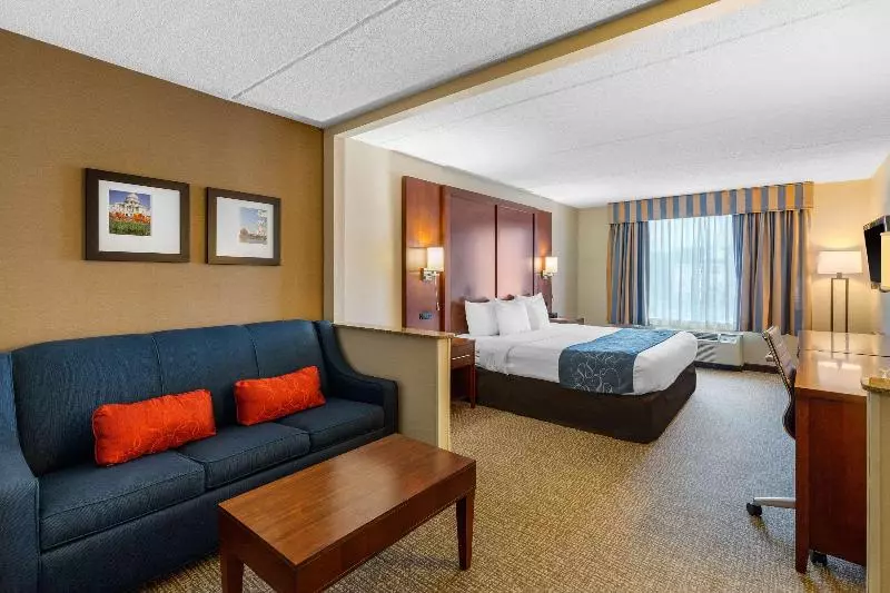キングサイズベッドのスイートルーム, Comfort Suites Manassas Battlefield Park