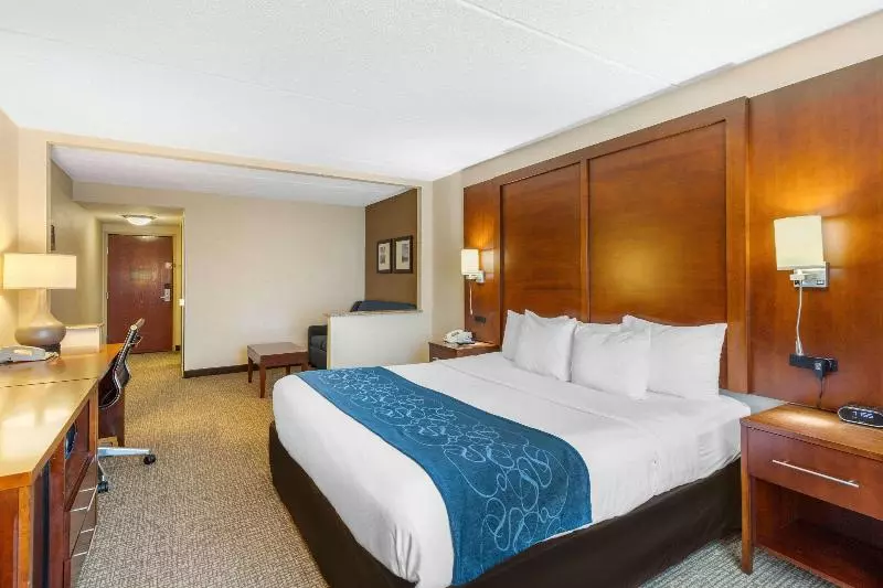 キングサイズベッドのスイートルーム, Comfort Suites Manassas Battlefield Park