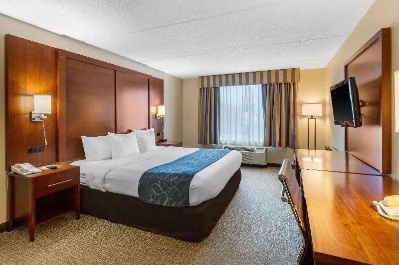 キングサイズベッドのスイートルーム, Comfort Suites Manassas Battlefield Park