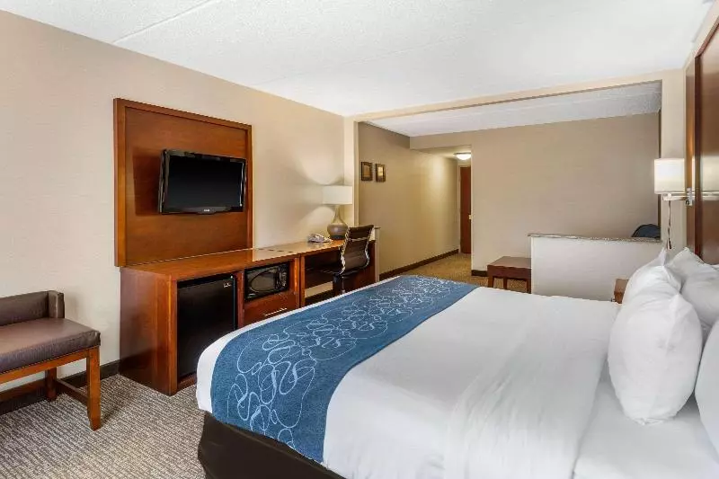 キングサイズベッドのスイートルーム, Comfort Suites Manassas Battlefield Park