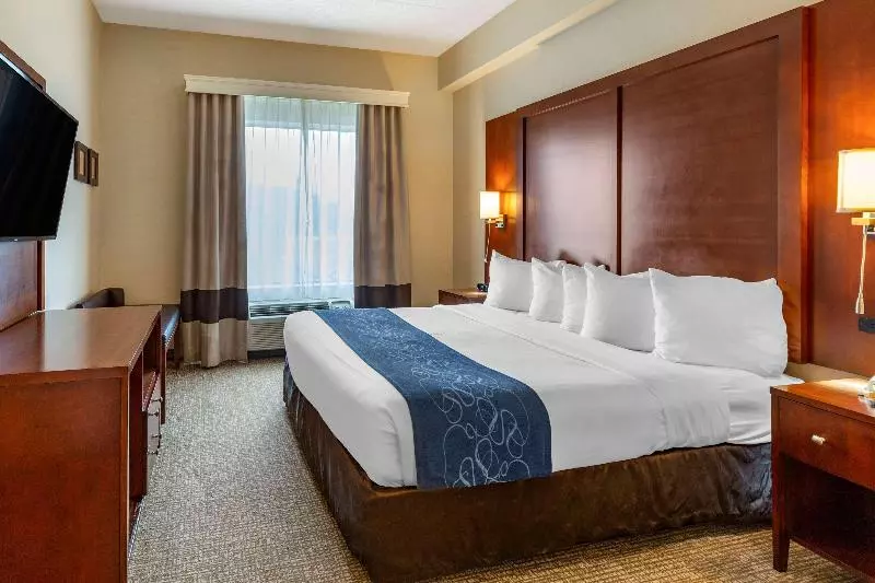 キングサイズベッドのスイートルーム, Comfort Suites Manassas Battlefield Park