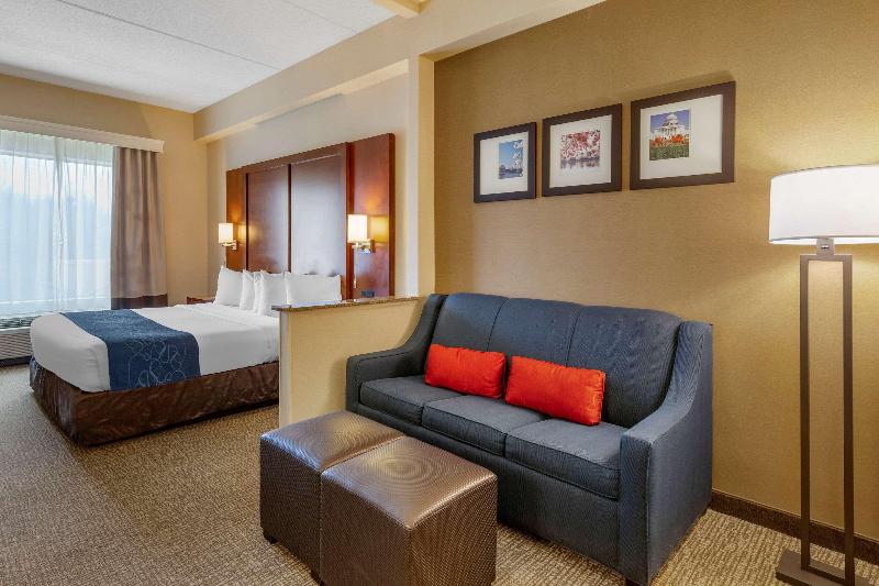 جناح سرير كينج, Comfort Suites Manassas Battlefield Park