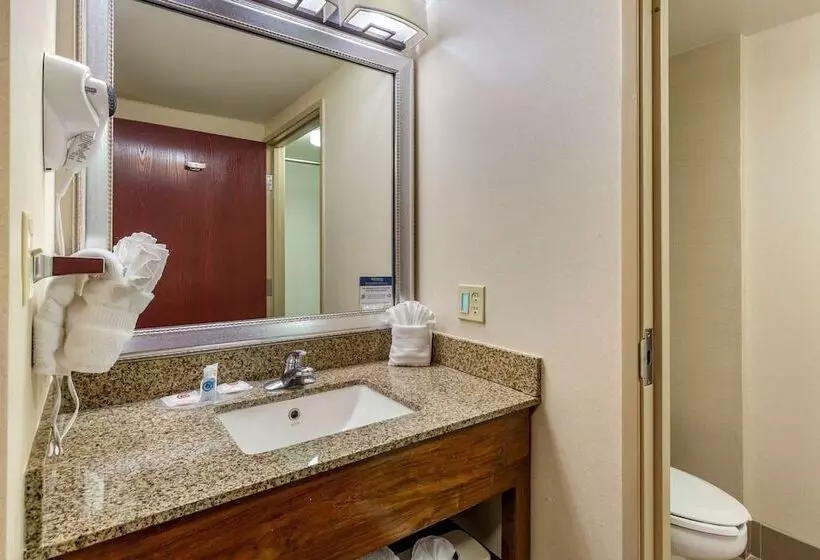 スイート, Comfort Suites Manassas Battlefield Park