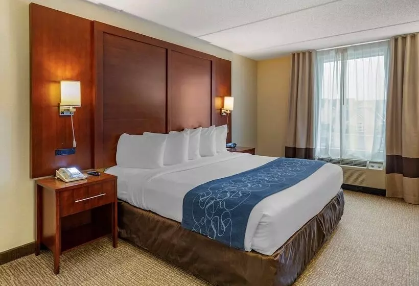 スイート, Comfort Suites Manassas Battlefield Park