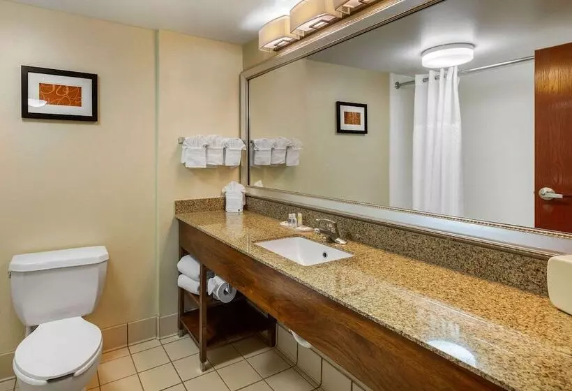 スイート, Comfort Suites Manassas Battlefield Park