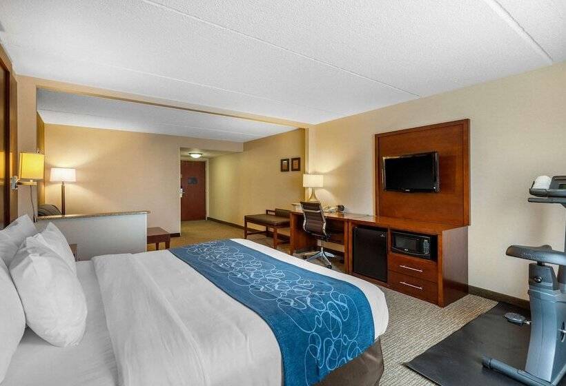 Люкс, Comfort Suites Manassas Battlefield Park
