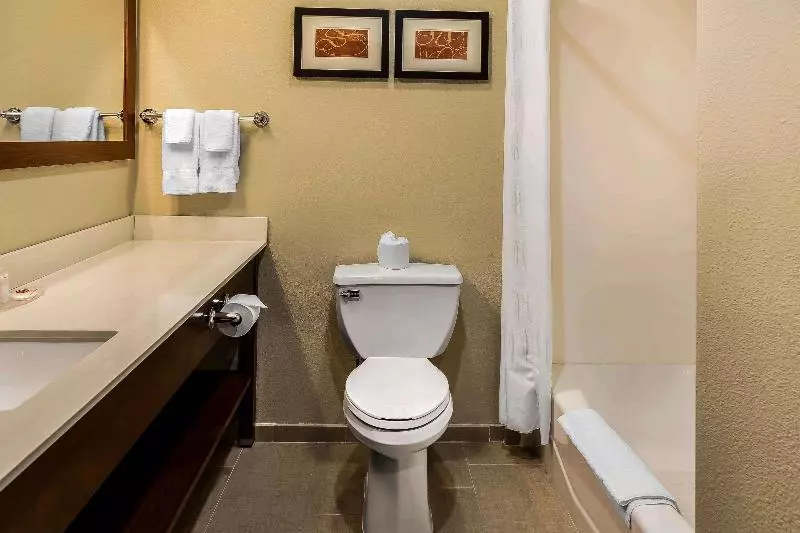 キングサイズベッドのスイートルーム, Comfort Suites San Jose Airport
