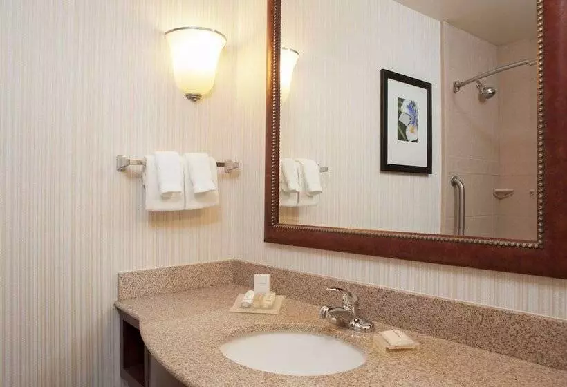 Standard-huone, Hilton Garden Inn St. Paul/oakdale