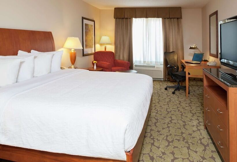 غرفة قياسية, Hilton Garden Inn St. Paul/oakdale