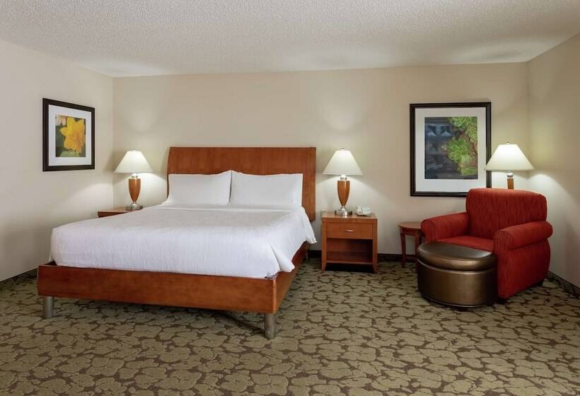 Номер Стандарт, Hilton Garden Inn St. Paul/oakdale