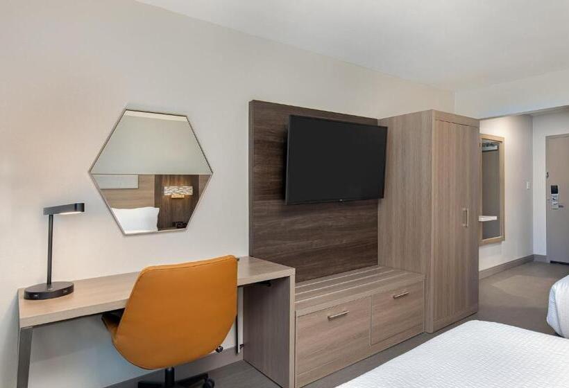 스탠다드 룸 킹사이즈 침대, Holiday Inn Express Atlanta Airport   North By Ihg