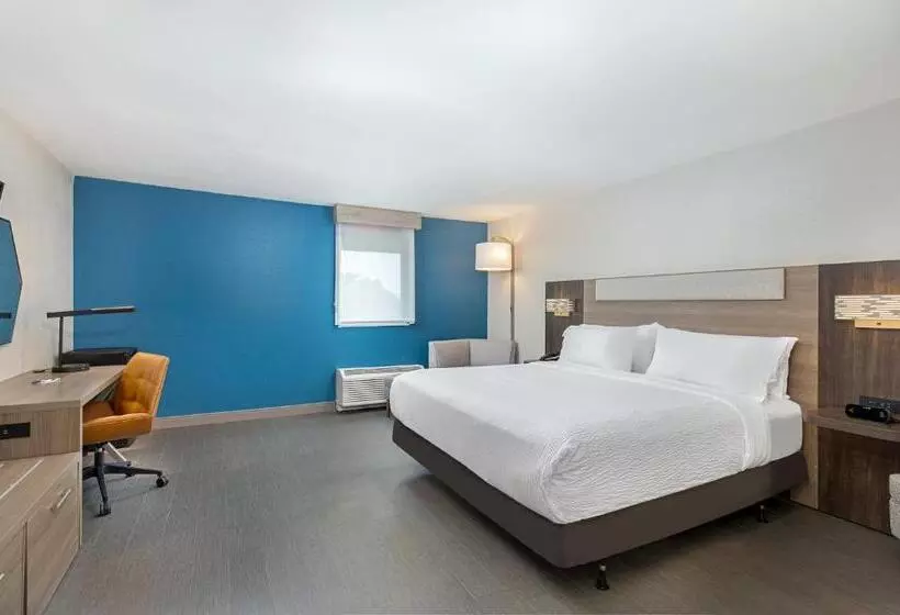 اتاق استاندارد با تخت بزرگ برای معلولان, Holiday Inn Express Atlanta Airport   North By Ihg