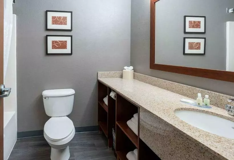 سوئیت با تخت بزرگ, Quality Suites Ne Indianapolis Fishers