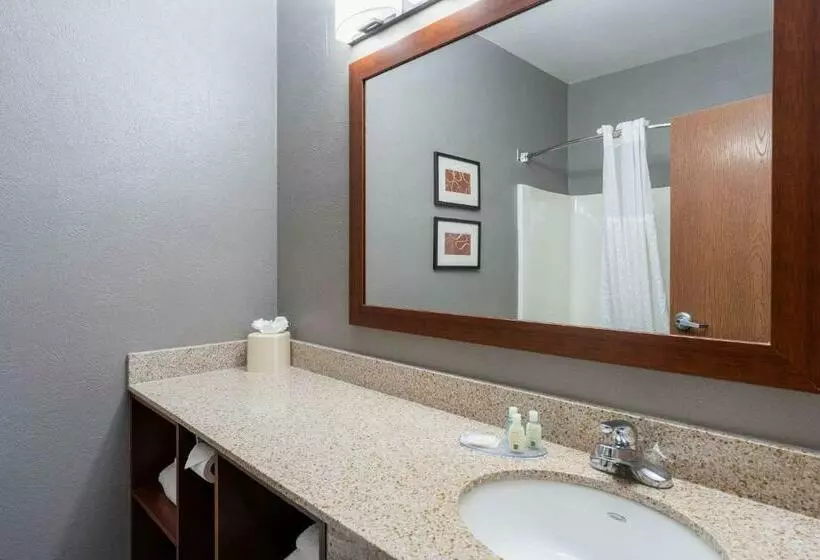 سوئیت با تخت بزرگ, Quality Suites Ne Indianapolis Fishers