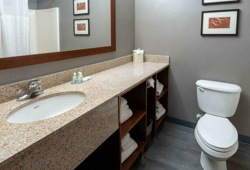 Suite Łóżko King Size, Quality Suites Ne Indianapolis Fishers