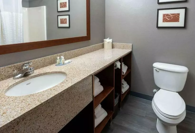 سوئیت با تخت بزرگ, Quality Suites Ne Indianapolis Fishers