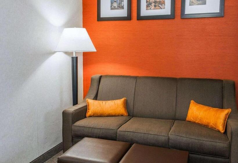 Suite Łóżko King Size, Quality Suites Ne Indianapolis Fishers
