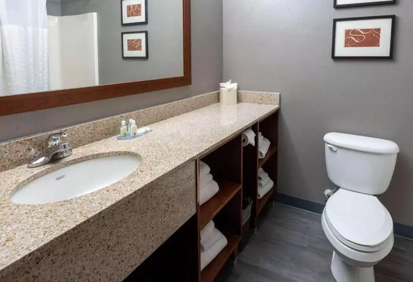 سوییت, Quality Suites Ne Indianapolis Fishers