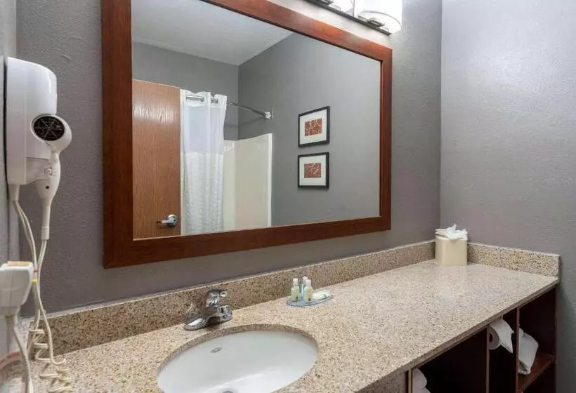 سوییت, Quality Suites Ne Indianapolis Fishers