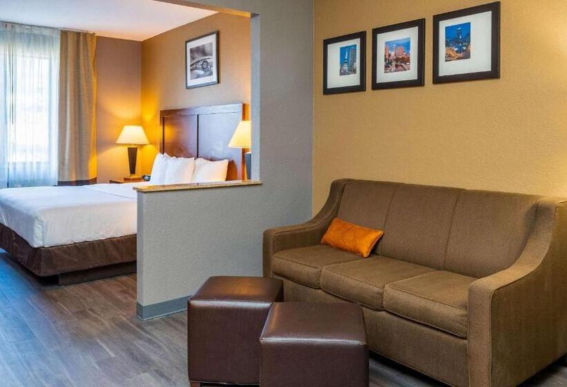 Suite Przystosowany dla Osób Niepełnosprawnych, Quality Suites Ne Indianapolis Fishers